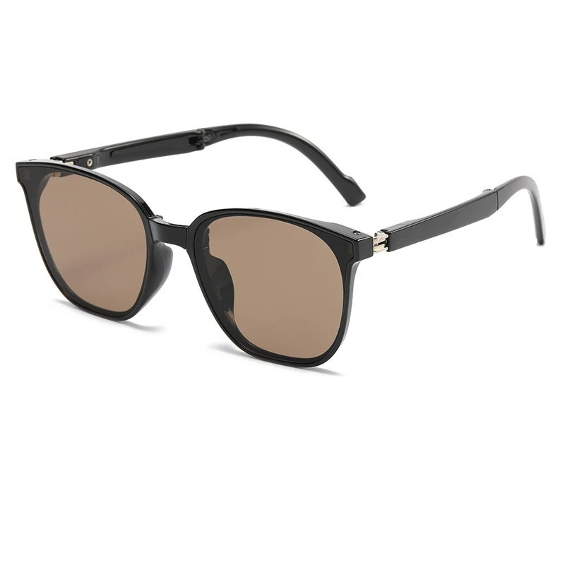 Portable Folding Sunglasses