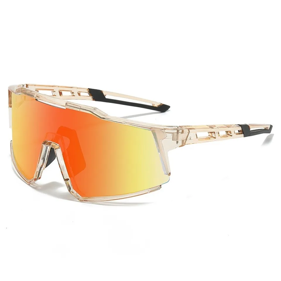 SKI Winter Sunglasses price