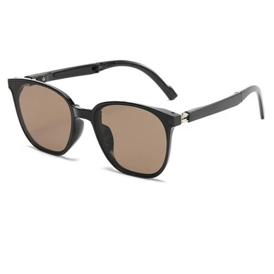 Portable Folding Sunglasses